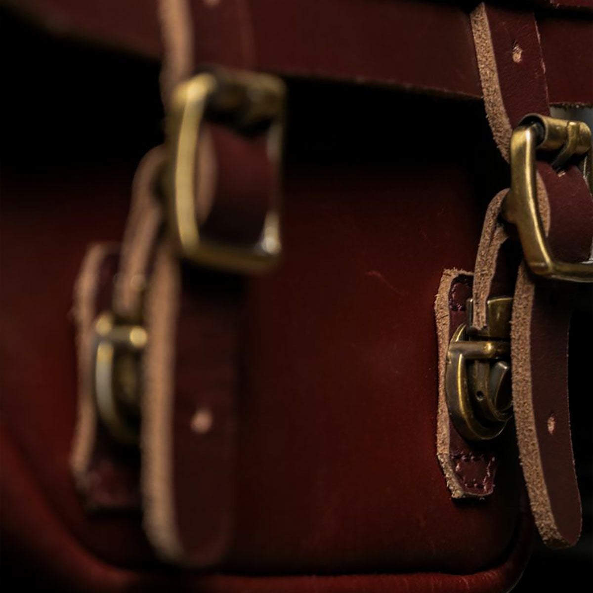 Trip Machine｜ウィングマン サイド パネル （左右ペア）｜サイドバッグ｜チェリーレッド｜使用イメージ