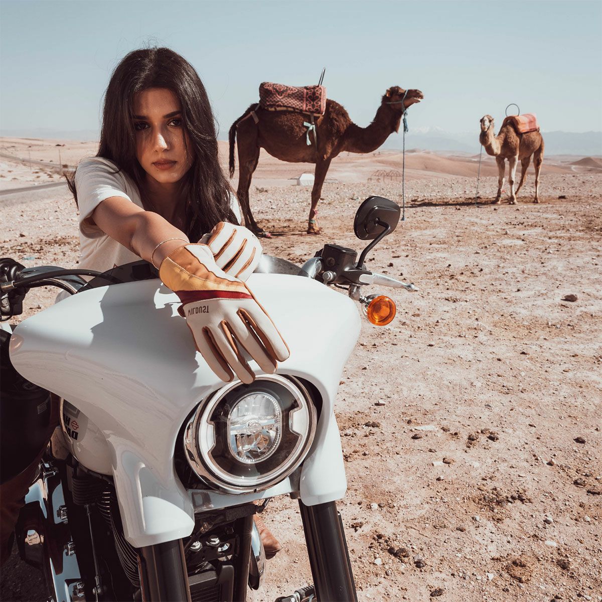 WILDUST｜モーターサイクル グローブ｜3シーズン｜ホワイト｜モデル着用