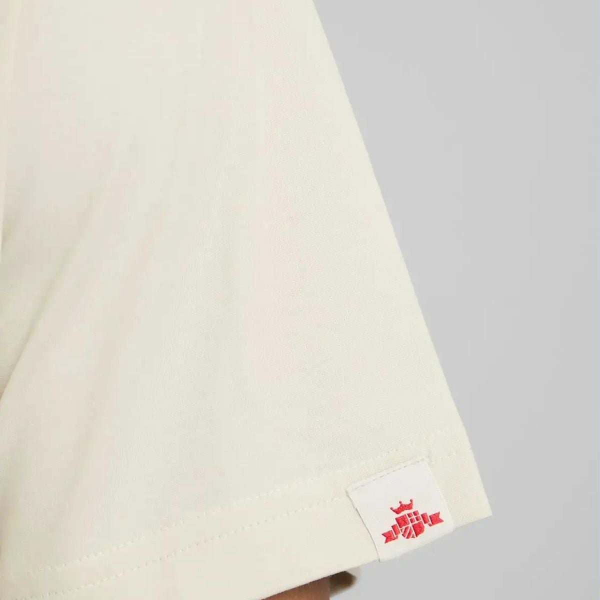 REPLAY｜タイガー プリント Tシャツ｜トップス｜クラウド｜モデル着用