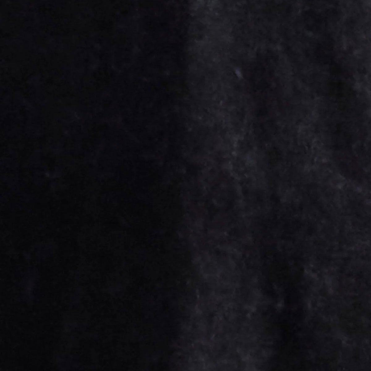 REPLAY｜レタリング ジャージー Tシャツ｜トップス｜ブラックボード｜モデル着用