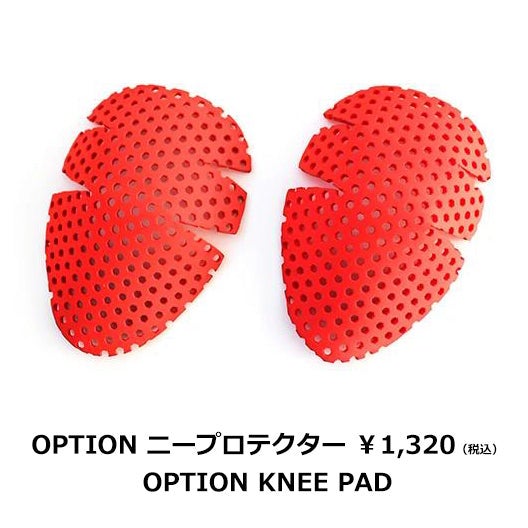 EDWIN コラボ 3Dフィット クール カーゴ パンツ '26 | モトーリモーダ