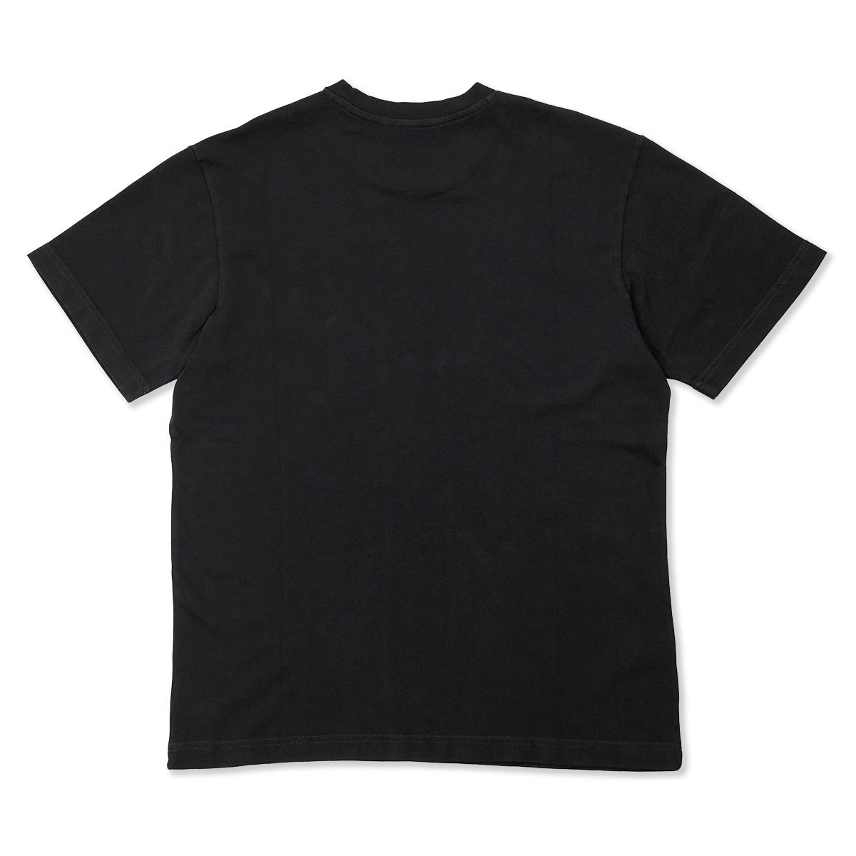 REPLAY｜レギュラーフィット チェストプリントTシャツ｜トップス｜ブラックボード｜モデル着用